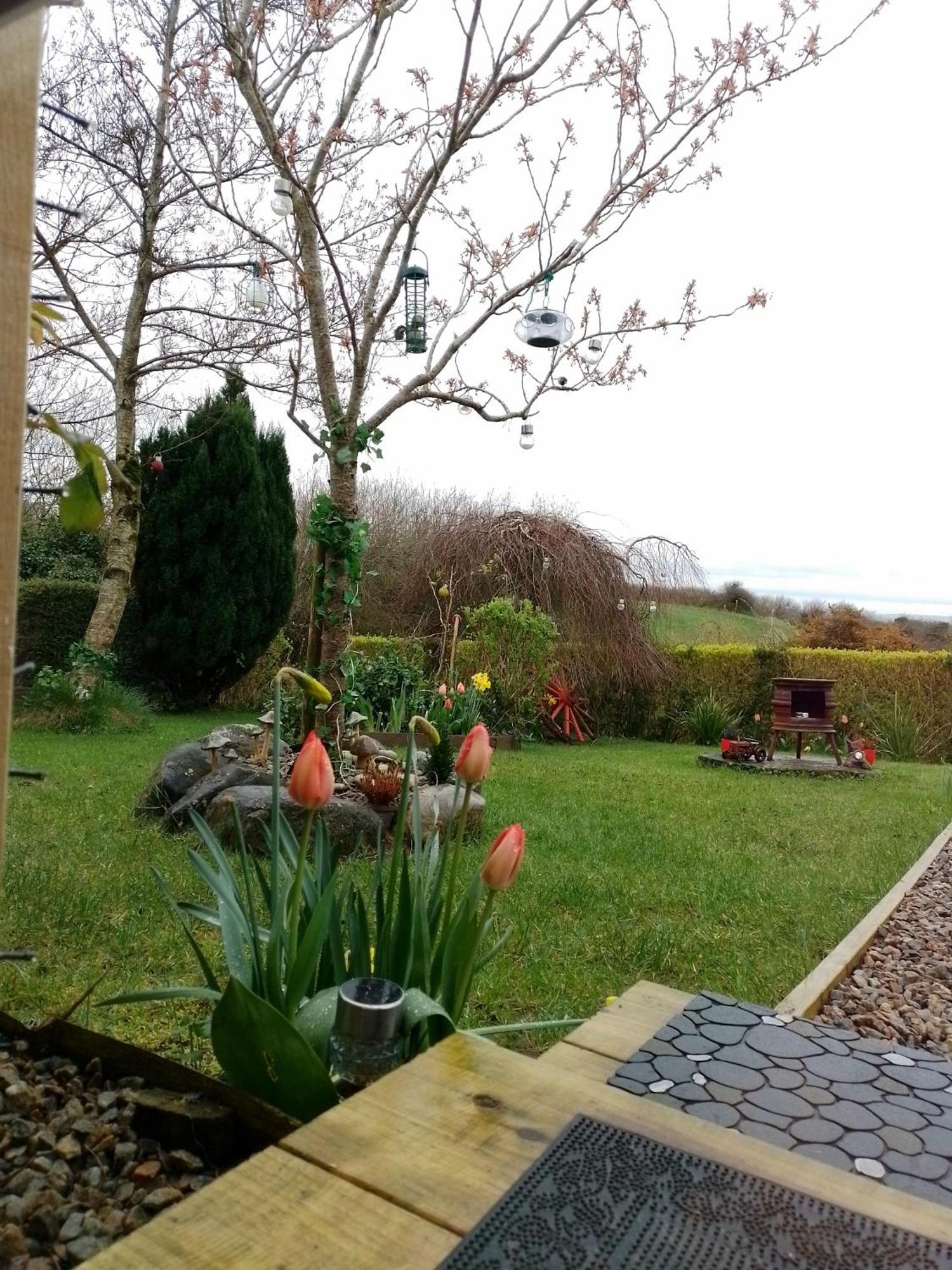 Villa Robins Rest Donegal Town Esterno foto